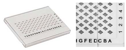 EM-Tec GB-100 TEM grid storage box for 100 TEM grids